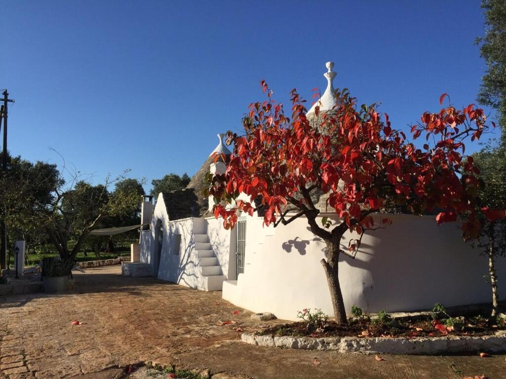 Chateaux Des Trulli サン・ミケーレ・サレンティーノ エクステリア 写真