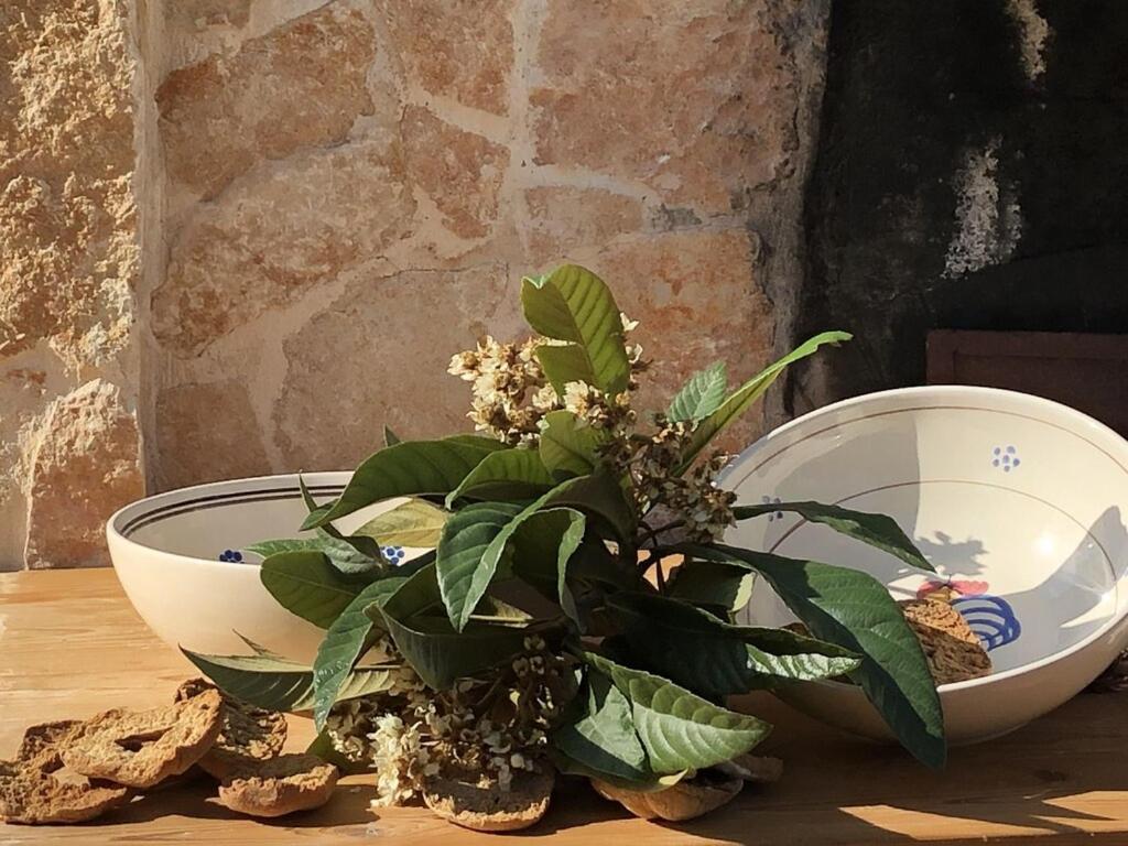 Chateaux Des Trulli サン・ミケーレ・サレンティーノ エクステリア 写真