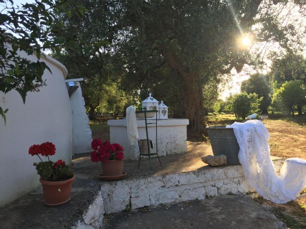 Chateaux Des Trulli サン・ミケーレ・サレンティーノ エクステリア 写真